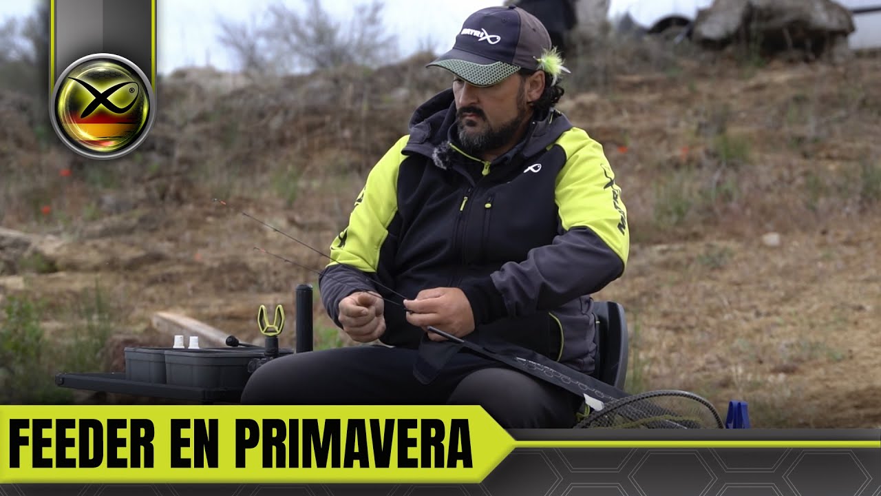 FEEDER EN PRIMAVERA - Matrix