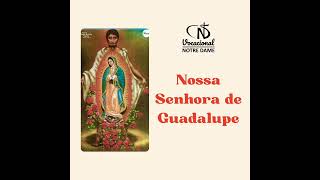 Vídeo de Senhora De Guadalupe