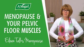 How does menopause affect the pelvic floor?