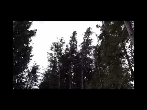 ჰა გადმოწერე