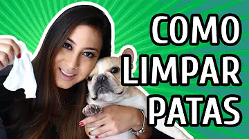 Como higienizar as patinhas do PET?
