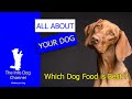💥 7 tips to know which dog food is best 😉