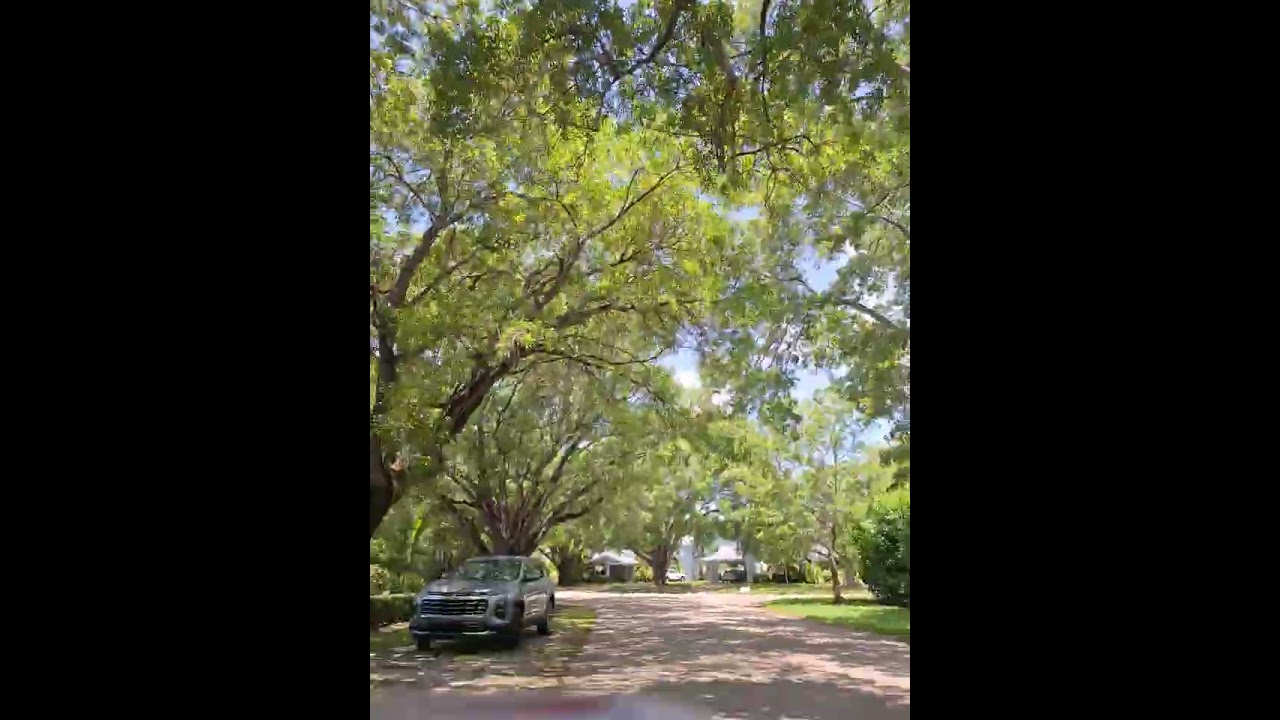 (305)OnTrial.co=(305)668-7245 A Rush's Live Broadcast DrARush@GMail.com_Expert-Witness_Litigation