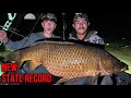 Bowfishing unofficial new state record carp absolute monster