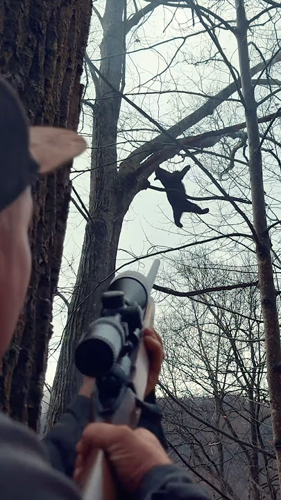 Another perfect shot on a nice bear!