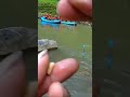 saat microfishing pake umpan jitu ada yang lagi rafting