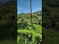 jangan lupa bersyukur #nature #nostalgiajamandulu #travel #music #coversong #nostalgia #song #shorts