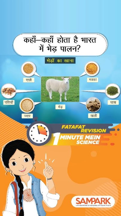 where-does-sheep-farming-take-place-in-india-shorts-youtube