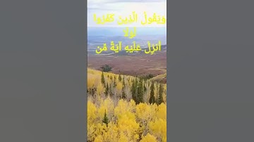الله يبسط الرزق لمن يشاء ويقدر||القارئ اسلام صبحي||آيات من سورة الرعد بصوت القارئ اسلام صبحي.