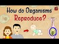 How do organism reproduce class 10 full chapter animation  class 10 science chapter 8  cbse