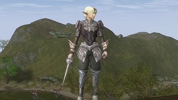 Lineage 2 Interlude Elven Scout Farming