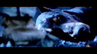 Dobermans in movie -- 38 (part 1) -- Доберманы в кино Dobermans in movie -- 38 (part 1) -- Доберманы в кино