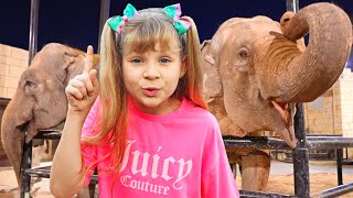 Pinakain nina Diana at Roma ang mga hayop sa Emirates Park Zoo