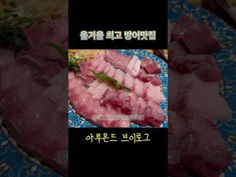 올겨울 먹은방어중 최고 #방어회맛집 #일상브이로그