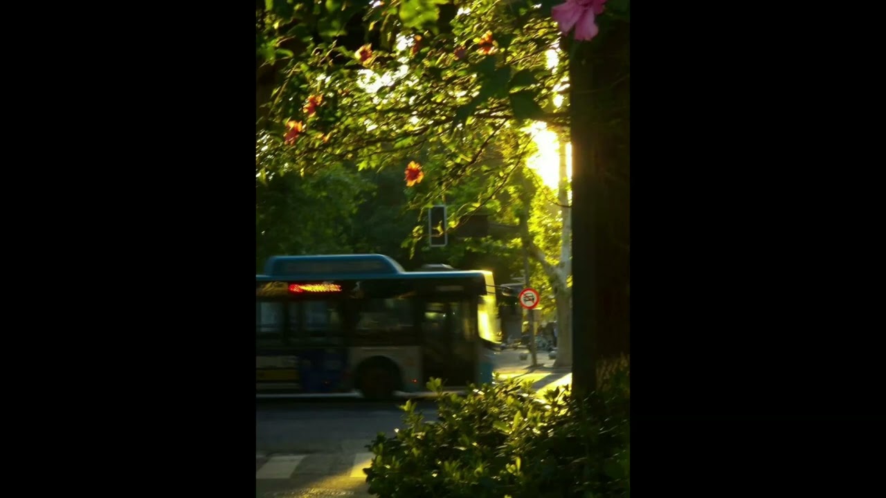 [Free] Dominic Fike x Kota The Friend x Mac Miller Type Beat - 