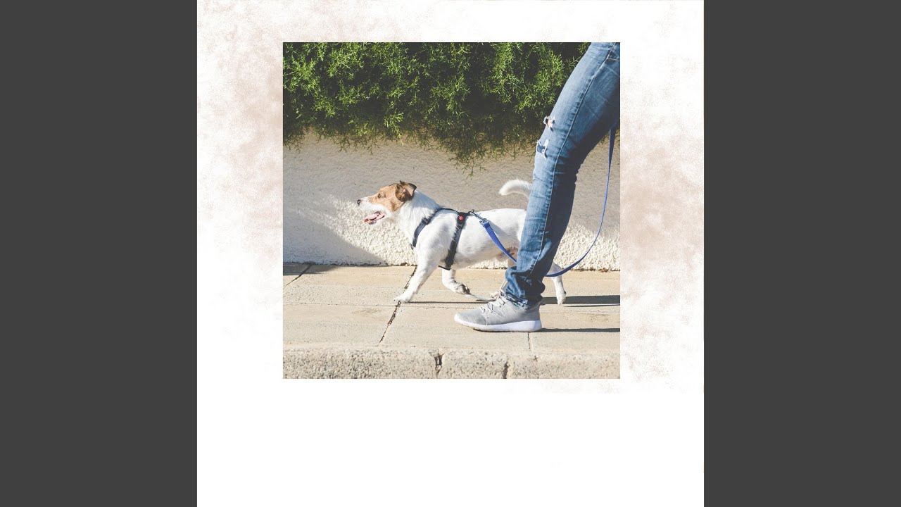 A Story of Moonlit Clouds