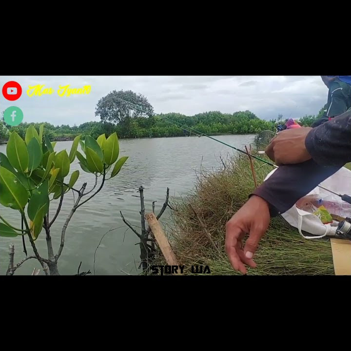 Story Wa Mancing Di empnag
