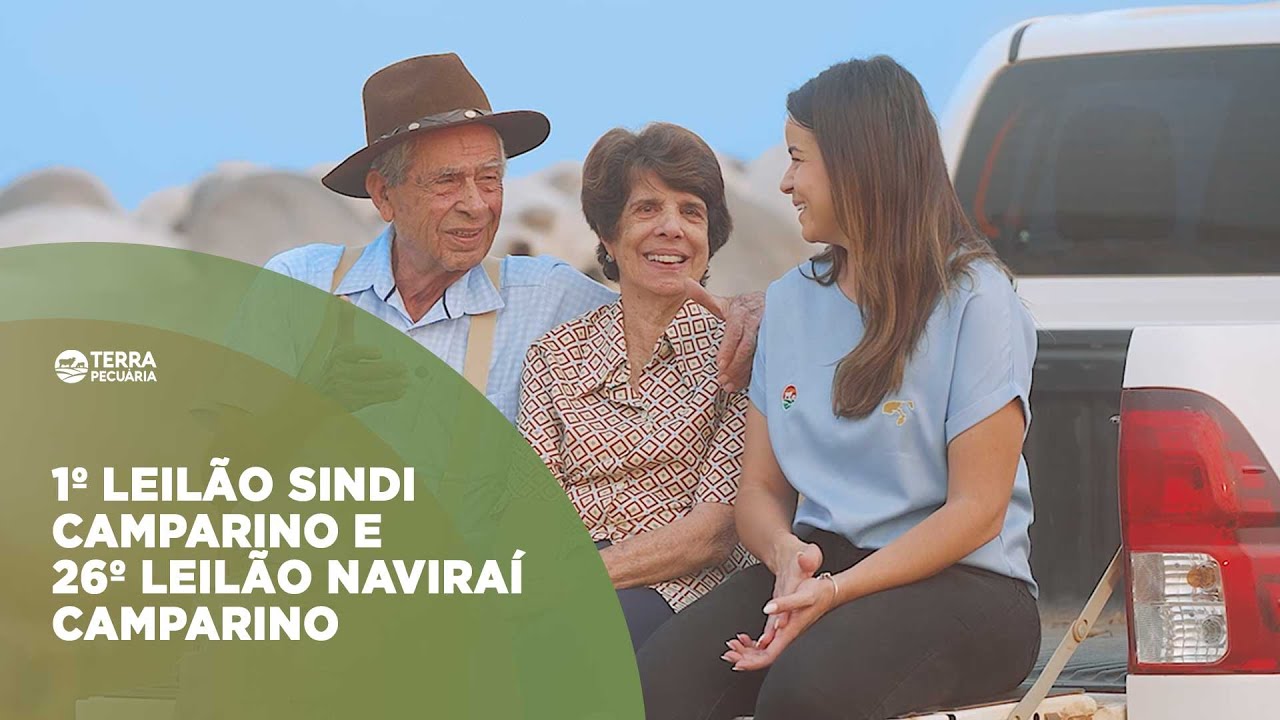 TERRA PECUÁRIA - 26º LEILÃO NAVIRAÍ CAMPARINO E 1º LEILÃO SINDI CAMPARINO & AMIGOS