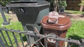 NYC issued over 1,800 composting fines in one week