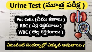 How to read Urine Test Report in Telugu ( మూత్ర పరీక్ష )