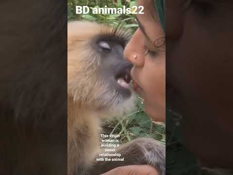 This virgin woman is developing a sweet relationship with the animal BD animals22