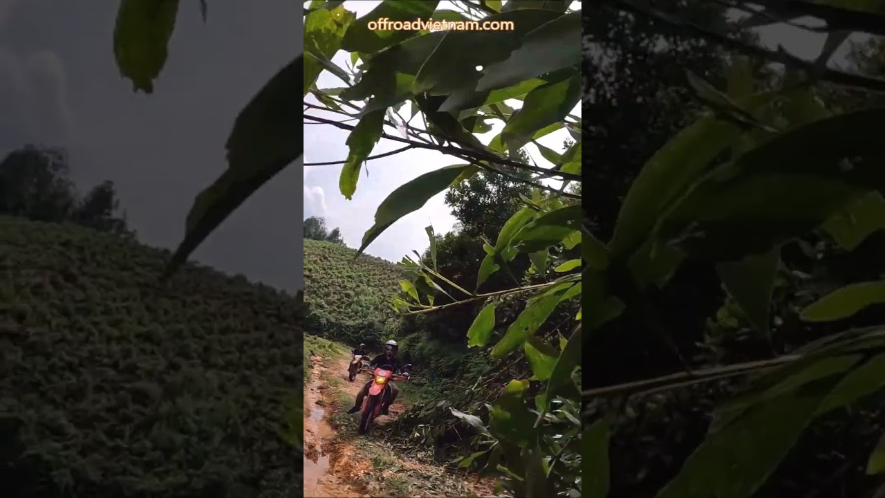 ⚙️ Discover New Passion ⚙️ Vietnam Motorbike Tours 