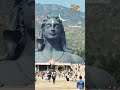 Happy Mahashivratri 🚩🙏🚩💞🌳🙏🙏 #reels #mahadev #mahakal #shiva #mahashivratri