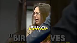 This Bird Helped Police Solve A Murder Case 🤯 #shorts