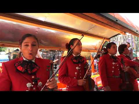Vidéo: Jardins flottants Xochimilco de Mexico