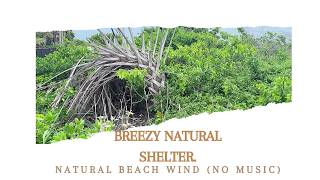 Breezy Beach Hut Hideaway ☁️ Real Ocean Waves & Relaxing Coastal Wind Sounds