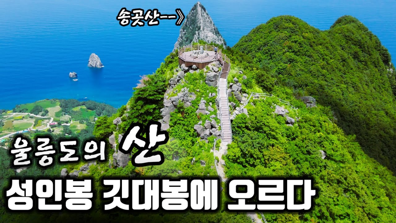 [울릉도 등산] 태고의 원시림 성인봉/ 그림같은 풍경 깃대봉/부자들이 찾는다는 신비한 약수 신령수