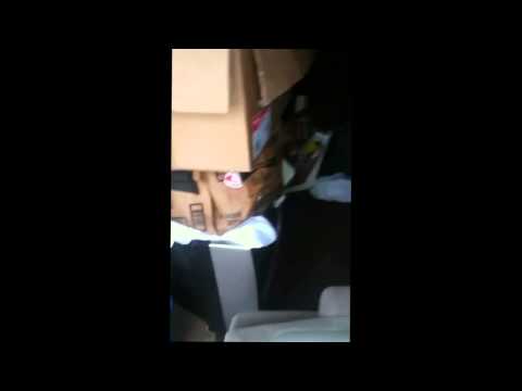 exotic animal petting zoo on Tumblr