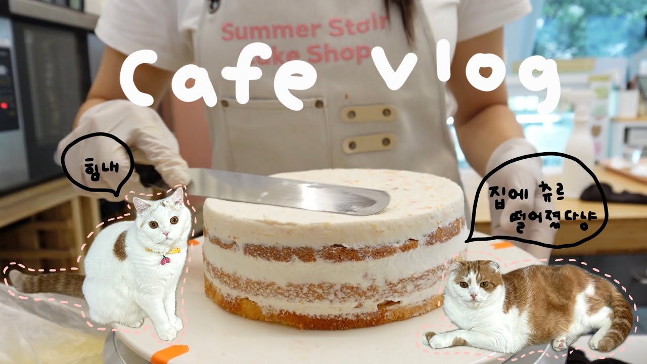 카페 브이로그) 케이크 열심히 만드는 카페 사장 일상 같이 보실래요?  | 서울 카페 | 4K | Korea Seoul cafe vlog