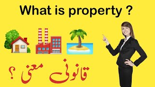What is property in jurisprudence | definition of property | meaning of property in law