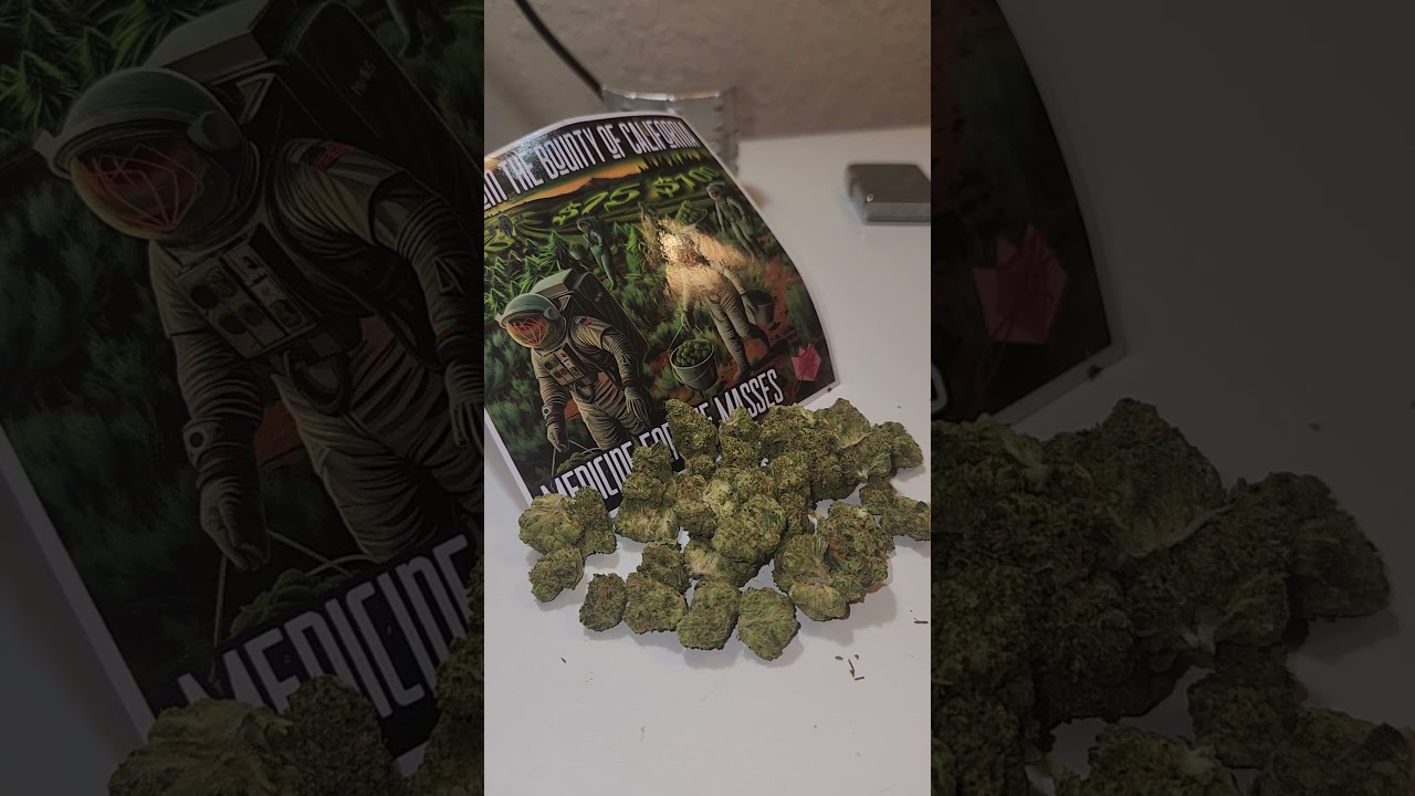 JK Distro Chemdog 91 x gsc hybrid