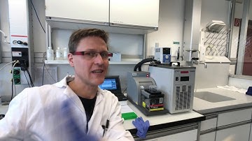 Bulked Segregant Analysis – Part 5: Making Sequencing Libraries