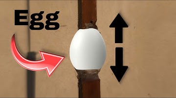 IS EGG Stronger | Egg Tensile test | MR MEDDY