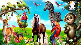 Funniest Cute Animal Videos, Lovely Animal Sounds: Monkey, Horse, Zebra, Parrot, Chicken, Flamingo