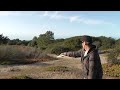 Crazy fence shot