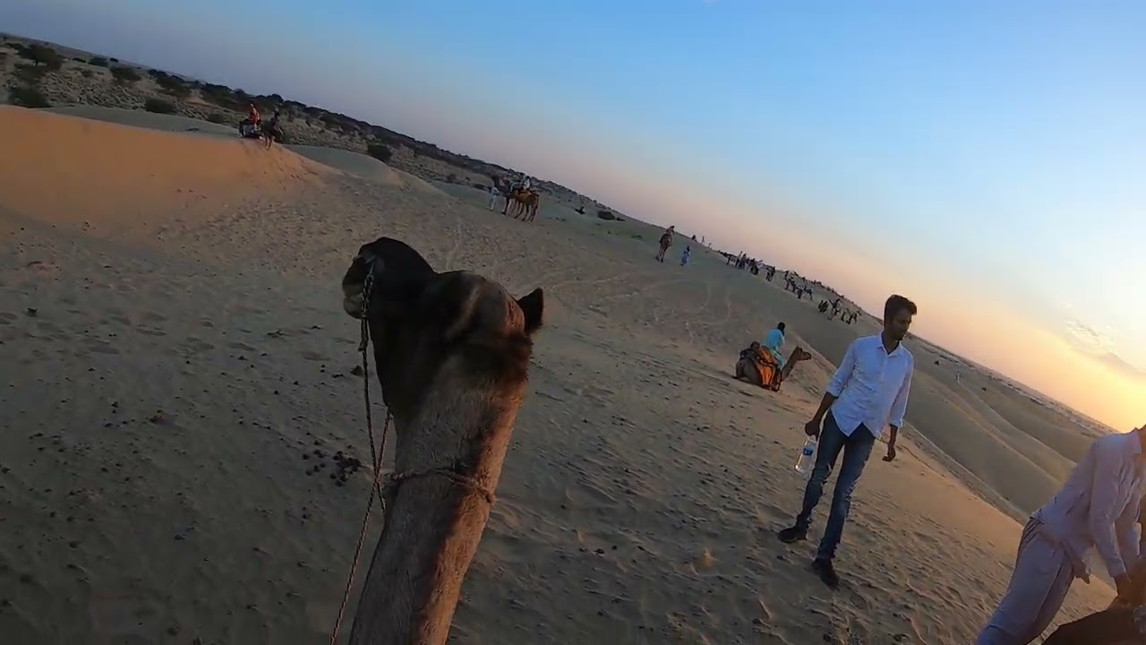 Camel Safari In jaisalmer