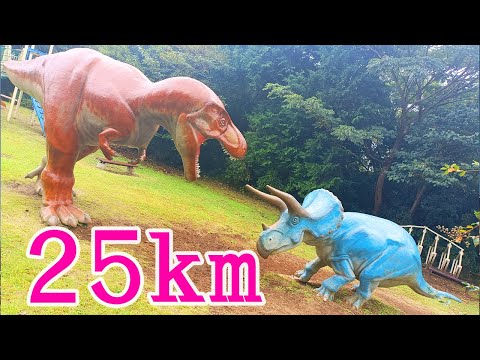小室・大室山・一碧湖２５Kmランニング！伊東市（伊豆高原）の火山。