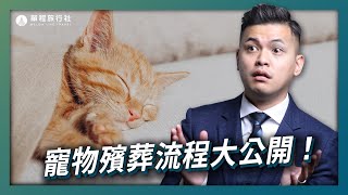 毛小孩的身後事處理SOP！寵物殯葬流程大公開！【單程旅行社】 