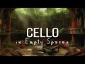 Cello music with violin  piano in empty spaces  soulful melodies