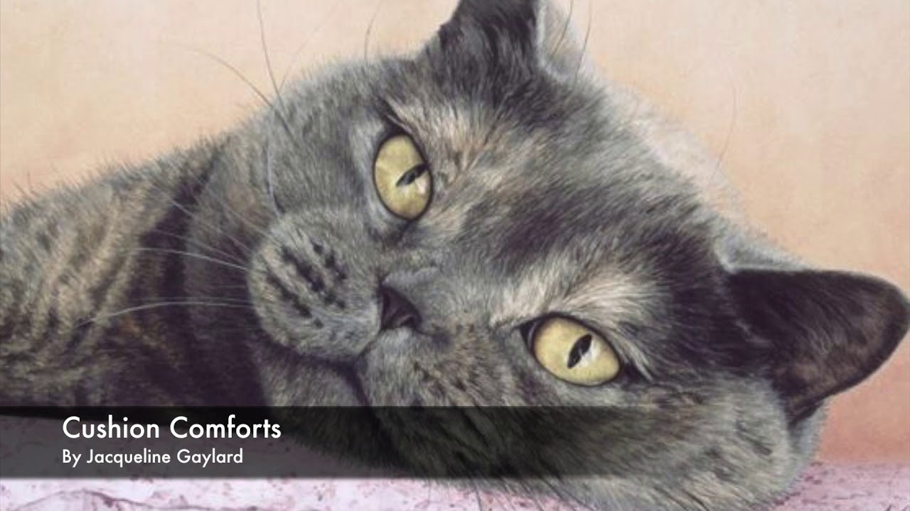 Contemporary Cat Art In The Capital