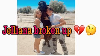 Jelliana Broke up ( On Elliana Birthday) *tea ️