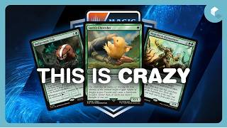 What the F*** is Happening to Pro Magic?
