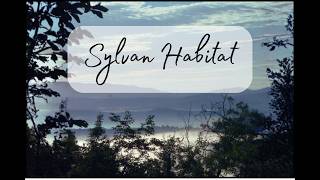 Sylvan Habitat Brevard NC Transylvania County