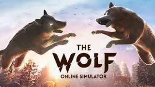The wolf online new script by @tomie863yt+ free account 900k 🫠🥳🔥