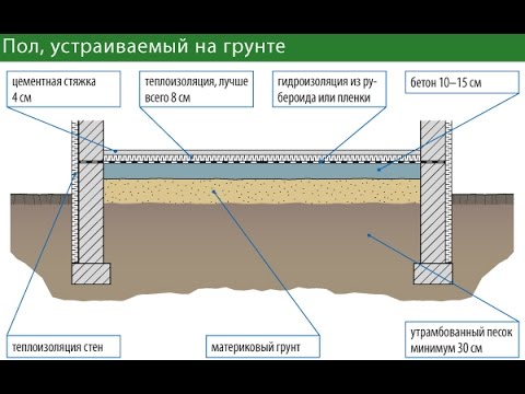 Появилась земля в доме на полу