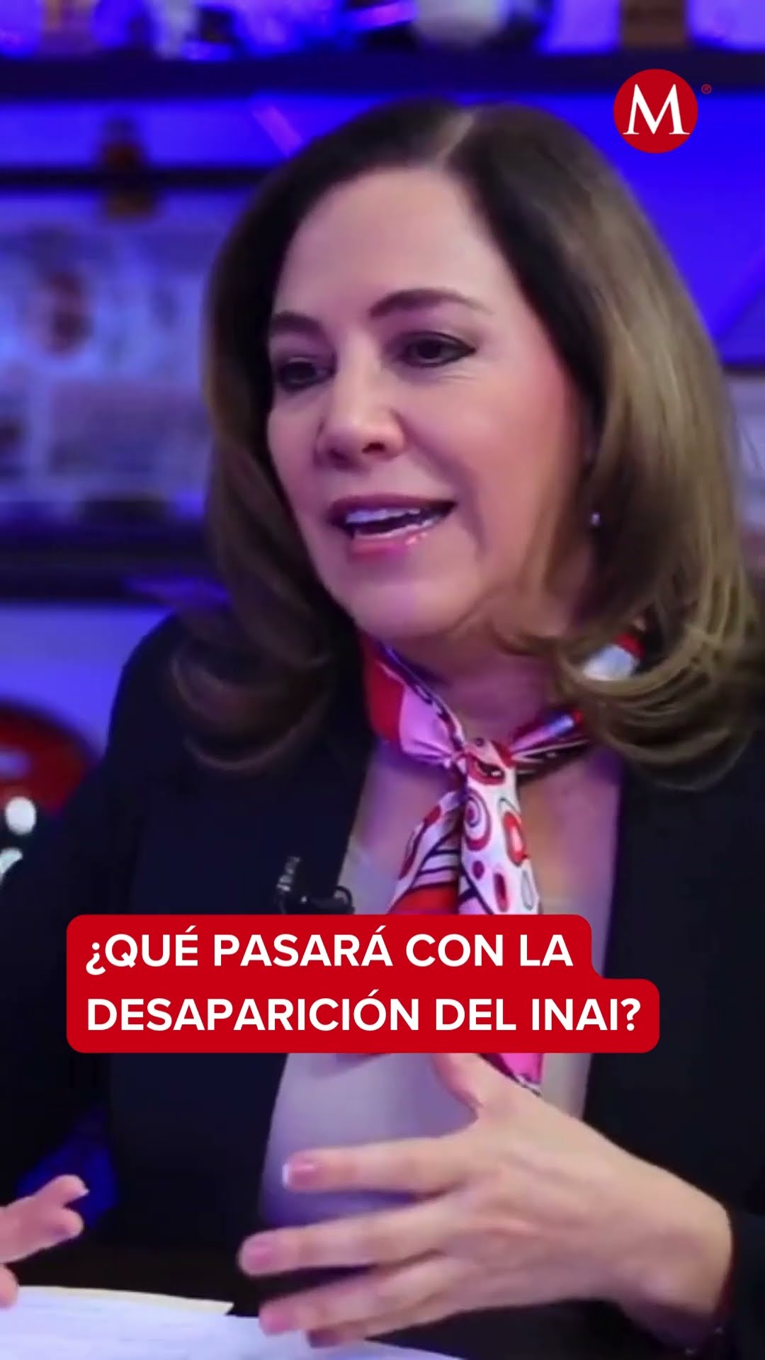 Comisionada defiende al INAI y exige al gobierno garantizar los derechos